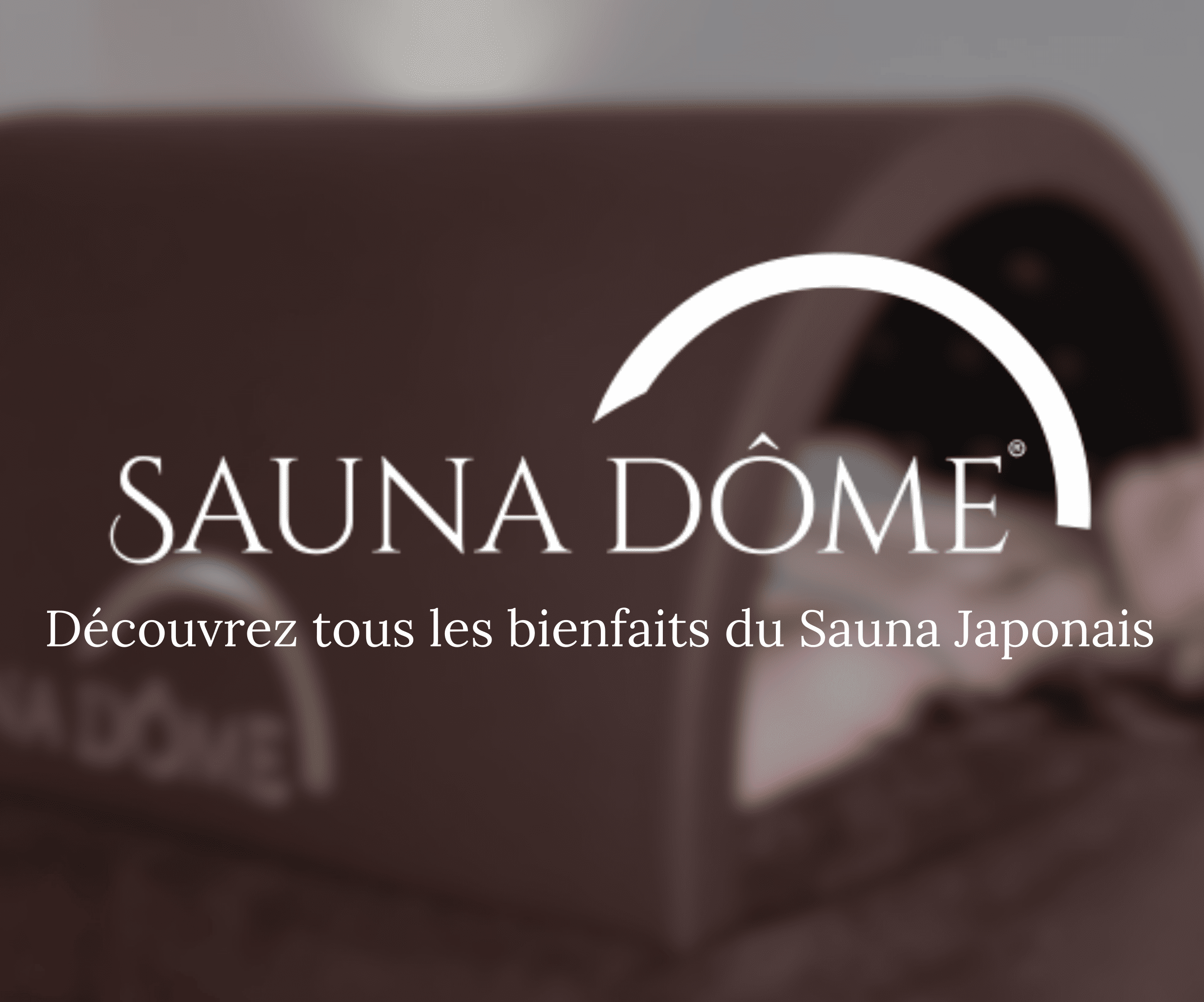 Sauna dôme 30 min image
